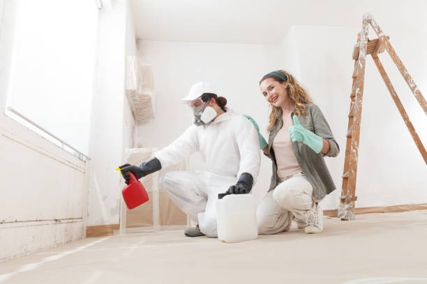 Best Mold-Related Health Consultation  in Laurium, MI