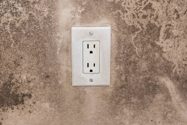 Best Forensic Mold Investigation  in Laurium, MI